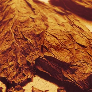 Image sur  Arômes; Tabac  Type Red Blend
