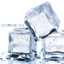 Picture of Extreme Ice