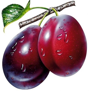 Image sur  Arômes Fruit:  Prune 